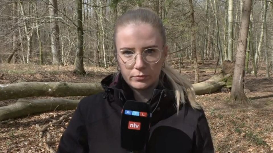 Baumunglück bei Flensburg: Polizei leitet „Todesermittlungsverfahren“ ein