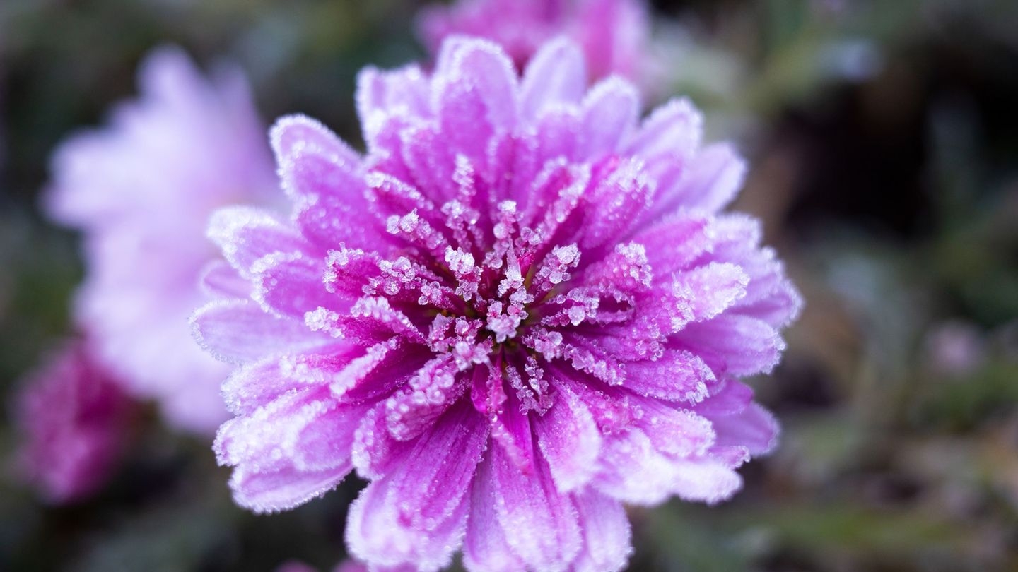 Wetter im Norden: Sonne und Frost lösen Sturm nach Ostern ab