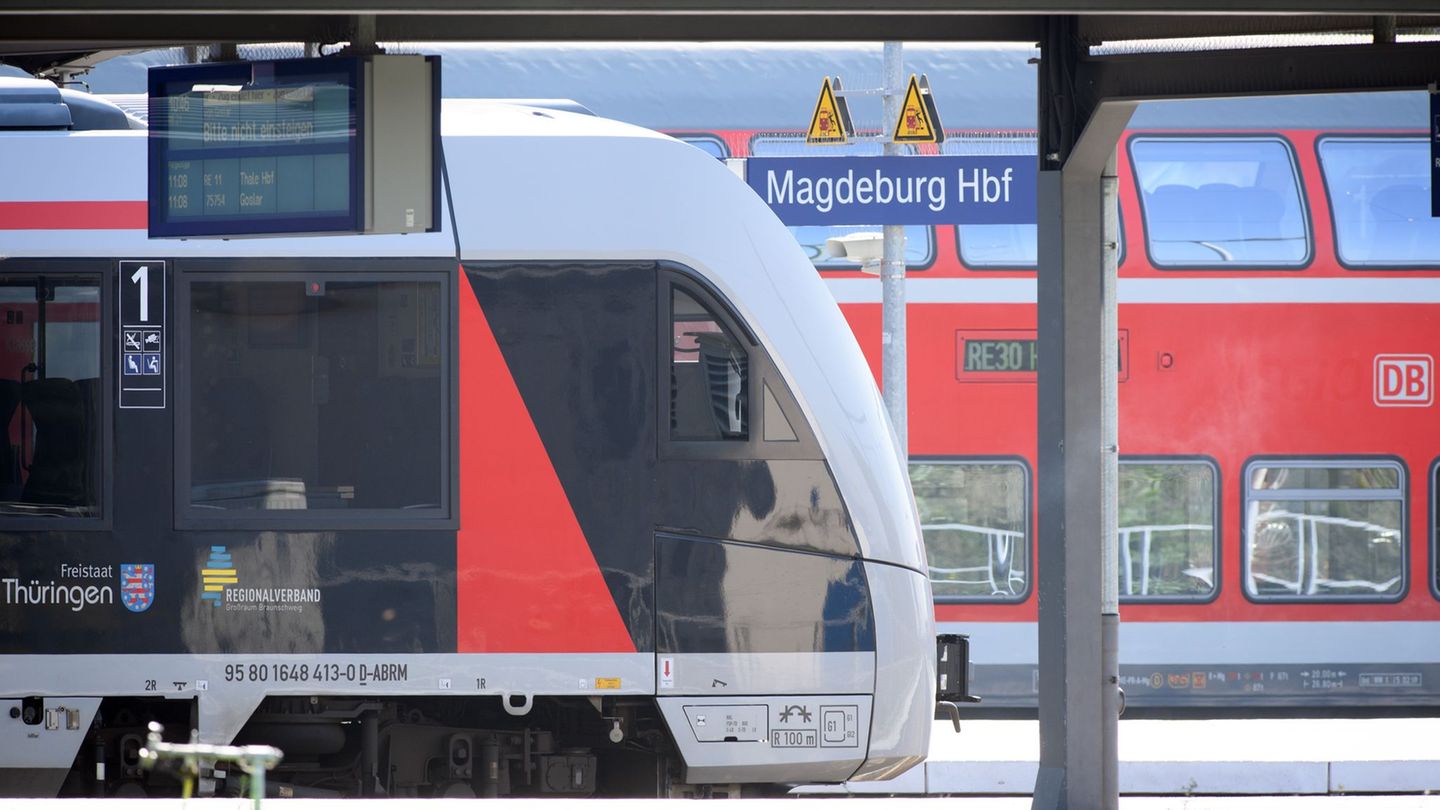 Am Magdeburger Hauptbahnhof warteten die Bundespolizisten auf den Angreifer. (Symbolbild) Foto: Soeren Stache/dpa-Zentralbild/ZB