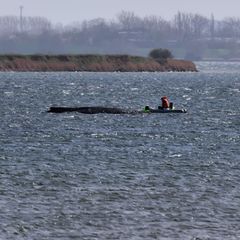 Katamaran-Einsatz in Ostsee? Das macht die Buckelwal-Bergung so kompliziert