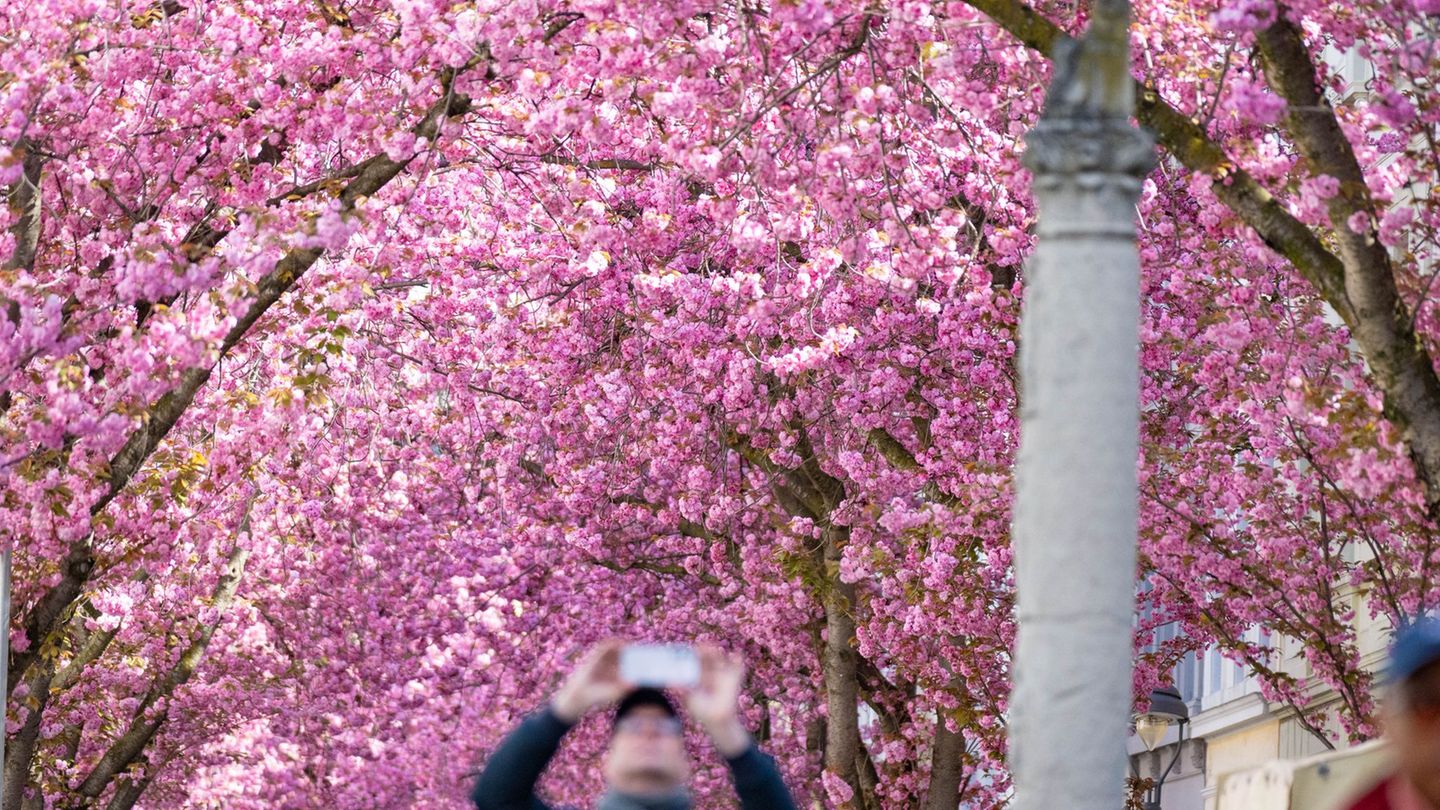 Die Altstadt wurde wieder zum beliebten Fotomotiv. Foto: Benjamin Westhoff/dpa