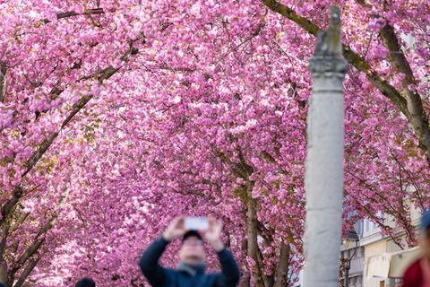 Die Altstadt wurde wieder zum beliebten Fotomotiv. Foto: Benjamin Westhoff/dpa