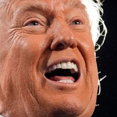 US-Präsident Donald Trump (Archivfoto)