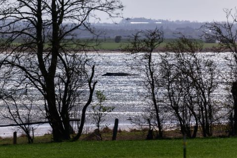 Jetzt soll auch die Wasserqualität geprüft werden. Foto: Marcus Golejewski/dpa