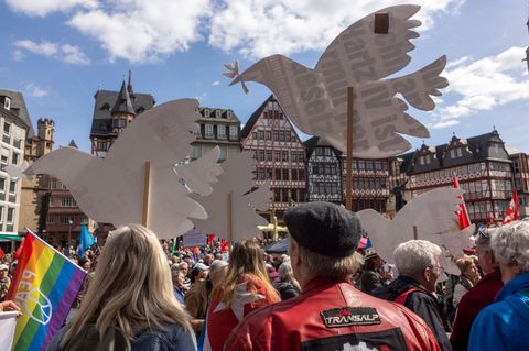 Die Demonstranten reisten unter anderem aus Oberursel und Darmstadt nach Frankfurt. Foto: Helmut Fricke/dpa