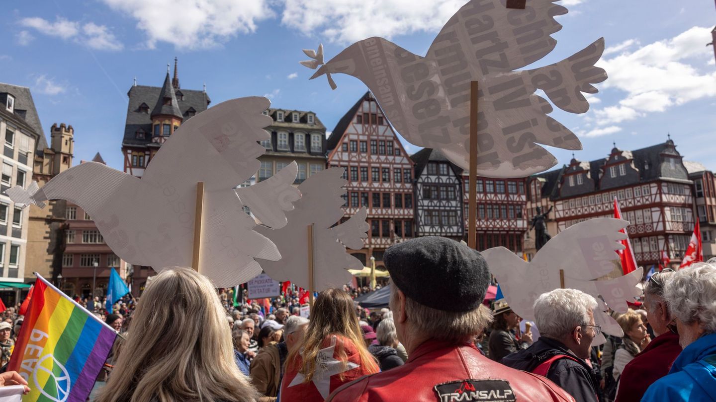 Die Demonstranten reisten unter anderem aus Oberursel und Darmstadt nach Frankfurt. Foto: Helmut Fricke/dpa