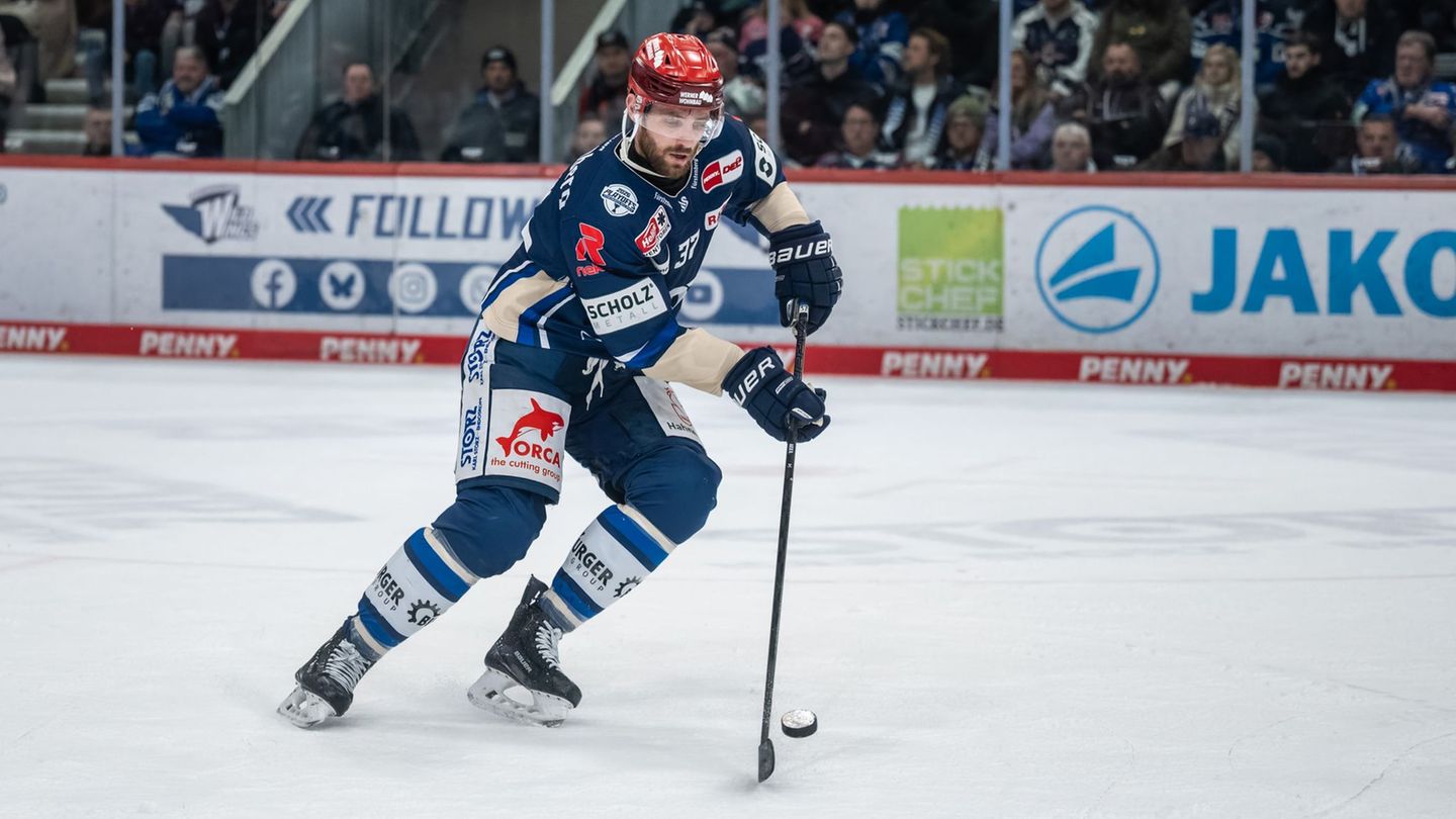 Deutsche Eishockey Liga: Nach Viertelfinal-Aus: Wild Wings verkünden sechs Abgänge