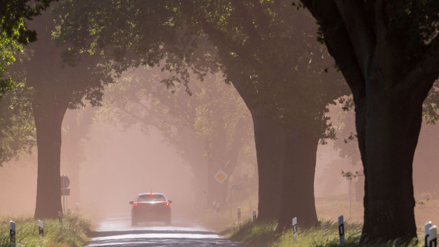 Stürmische Böen: Sandverwehungen sorgen im Nordosten für schlechte Sicht