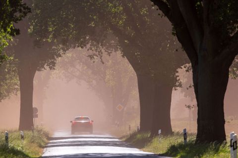 Der Wind wirbelte am Ostermontag Staub von Ackerflächen über die Straße. (Symbolbild) Foto: Jens Büttner/dpa