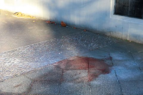 Die Rettungskräfte wurden am Montagnachmittag alarmiert. Foto: Carsten Koall/dpa