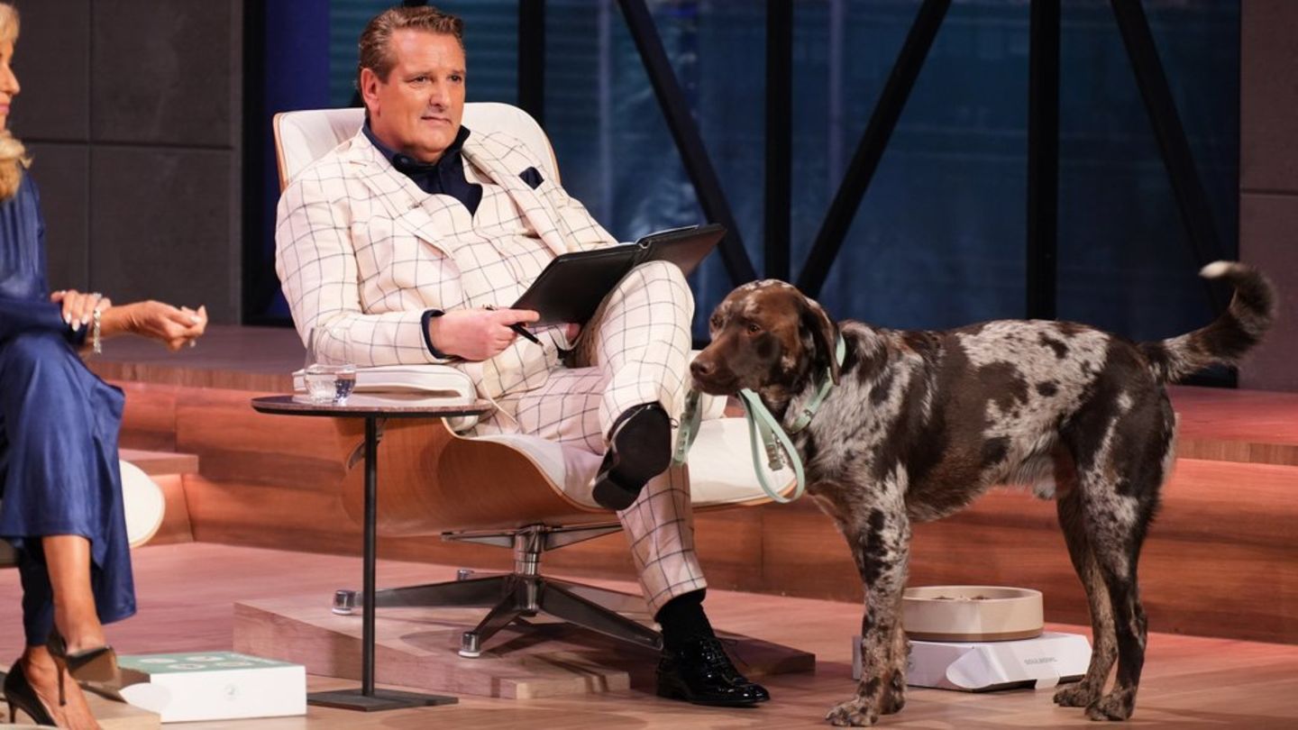 "Die Höhle der Löwen": Zwei Hunde buhlen um die Löwen