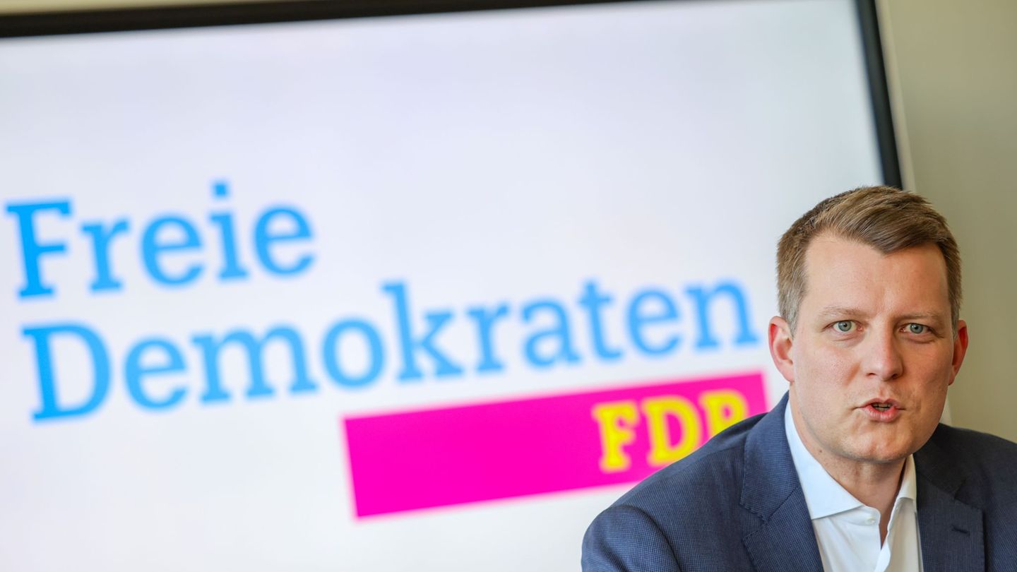 Krise der Liberalen: FDP-Landeschef Höne will Bruch mit Ampel-Zeit
