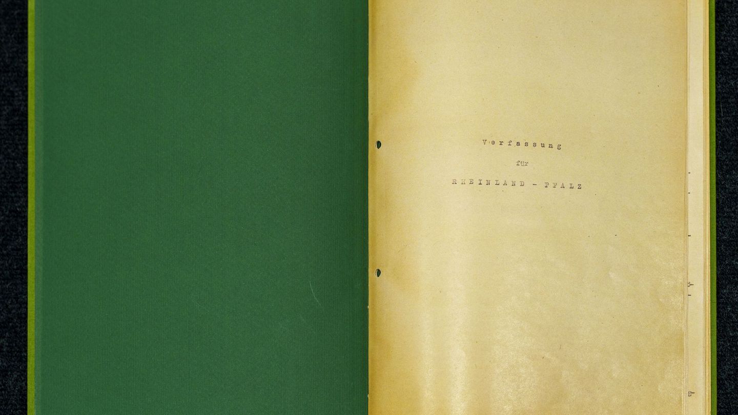 Änderung der Landesverfassung? Eine Reihe von Themen wird diskutiert. Foto: Andreas Arnold/dpa