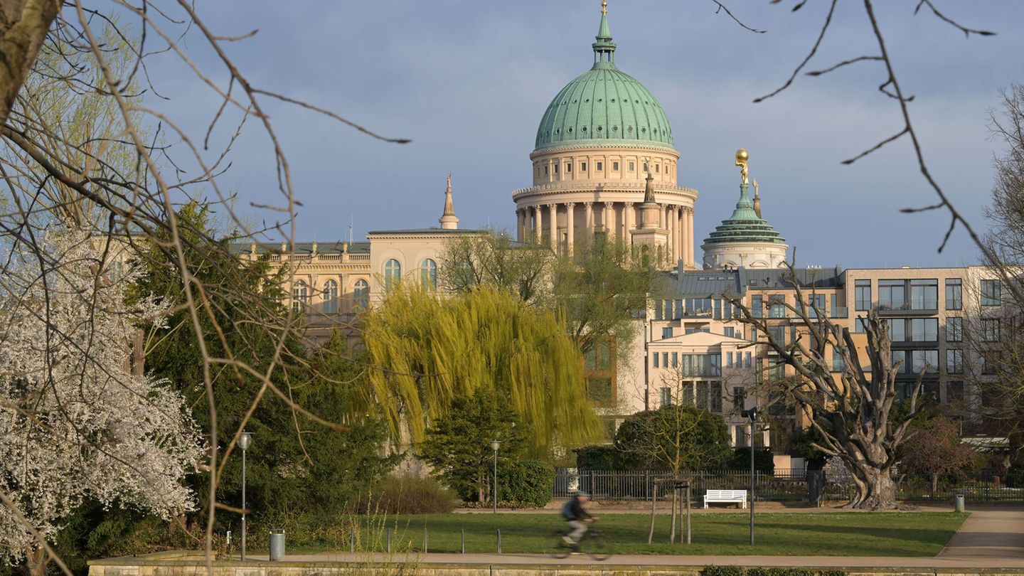 Der DWD erwartet kaum Regen in den nächsten Tagen. (Archivbild) Foto: Michael Bahlo/dpa