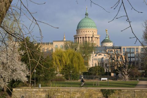 Der DWD erwartet kaum Regen in den nächsten Tagen. (Archivbild) Foto: Michael Bahlo/dpa