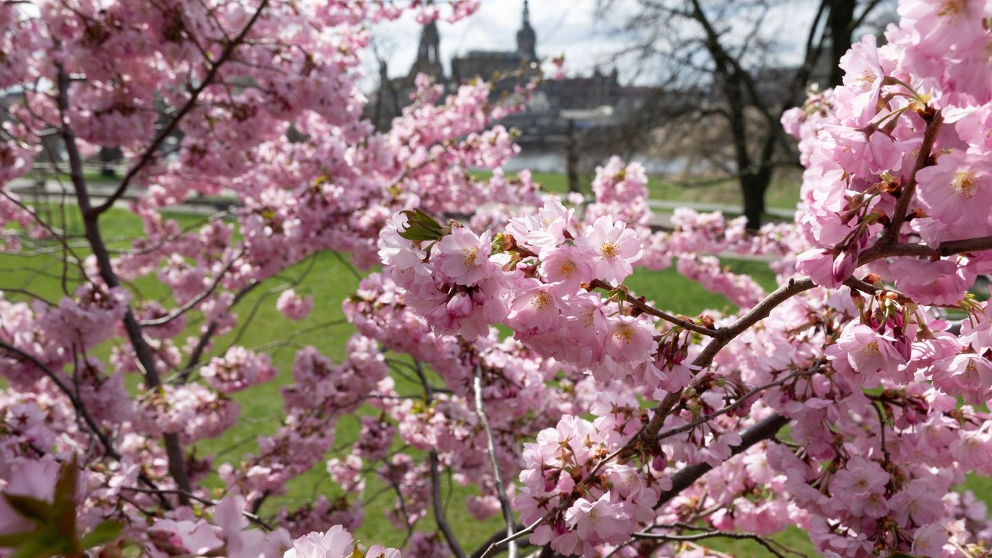 Wetter: Wieder Sonne in Sachsen
