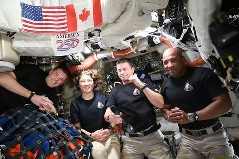 Hansen, Koch, Wiseman und Glover (v.l.n.r.)