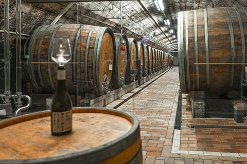 Winzer in Thüringen und Sachsen-Anhalt froh über volle Weinkeller. (Symbolbild) Foto: Heiko Rebsch/dpa/ZB