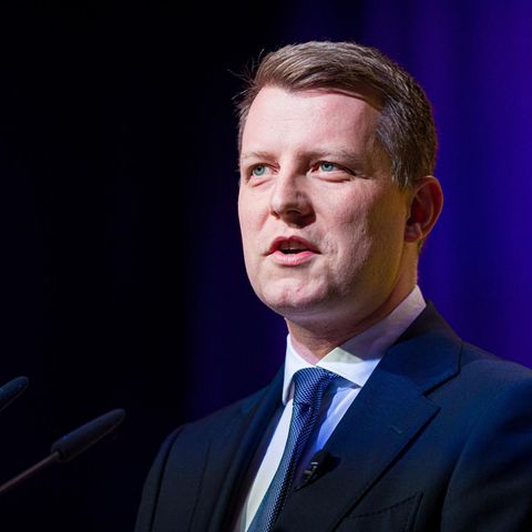 Henning Höne, FDP