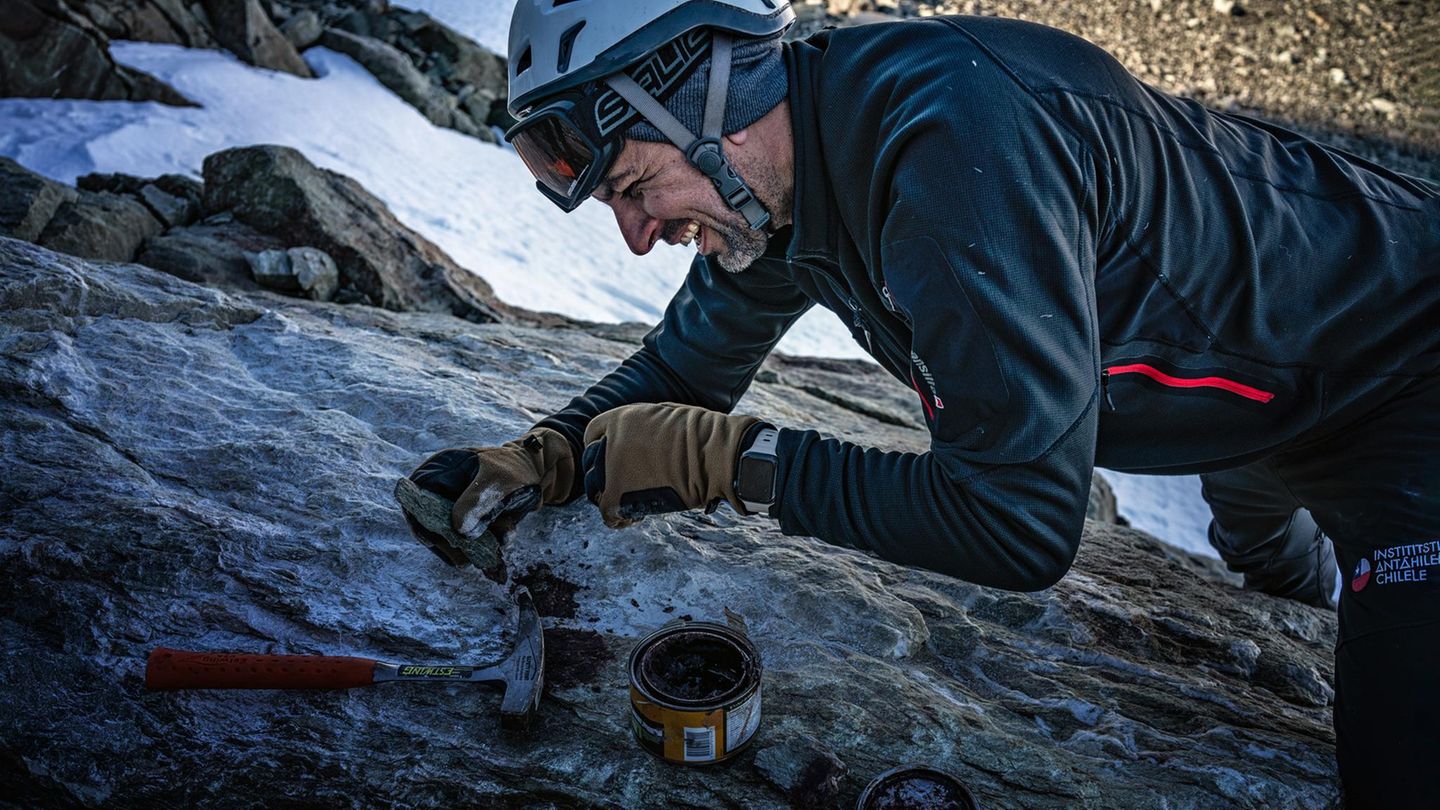 Der Antarktisforscher Angel Zapata aus Chile befestigt einen GPS-Marker auf dem Fels