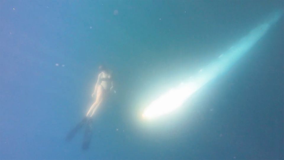 Frau taucht plötzlich mit vier Meter langer Meereskreatur