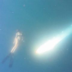 Frau taucht plötzlich mit vier Meter langer Meereskreatur