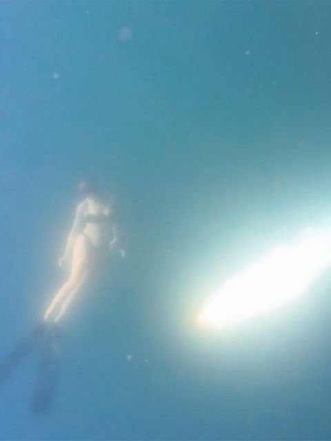 Frau taucht plötzlich mit vier Meter langer Meereskreatur