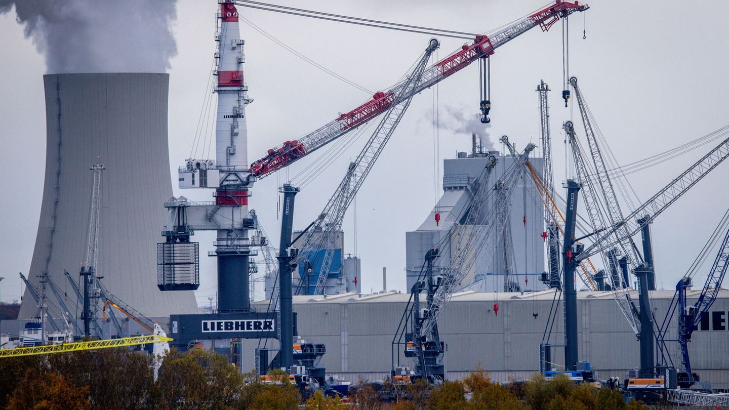 Die Kräne, die Liebherr in Rostock baut, gehen in die ganze Welt. (Archivbild) Foto: Jens Büttner/dpa
