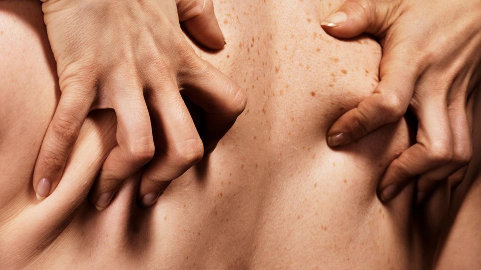 Expertin erklärt: Einseitige Lust auf Sex? Was Männer und Frauen übereinander wissen sollten