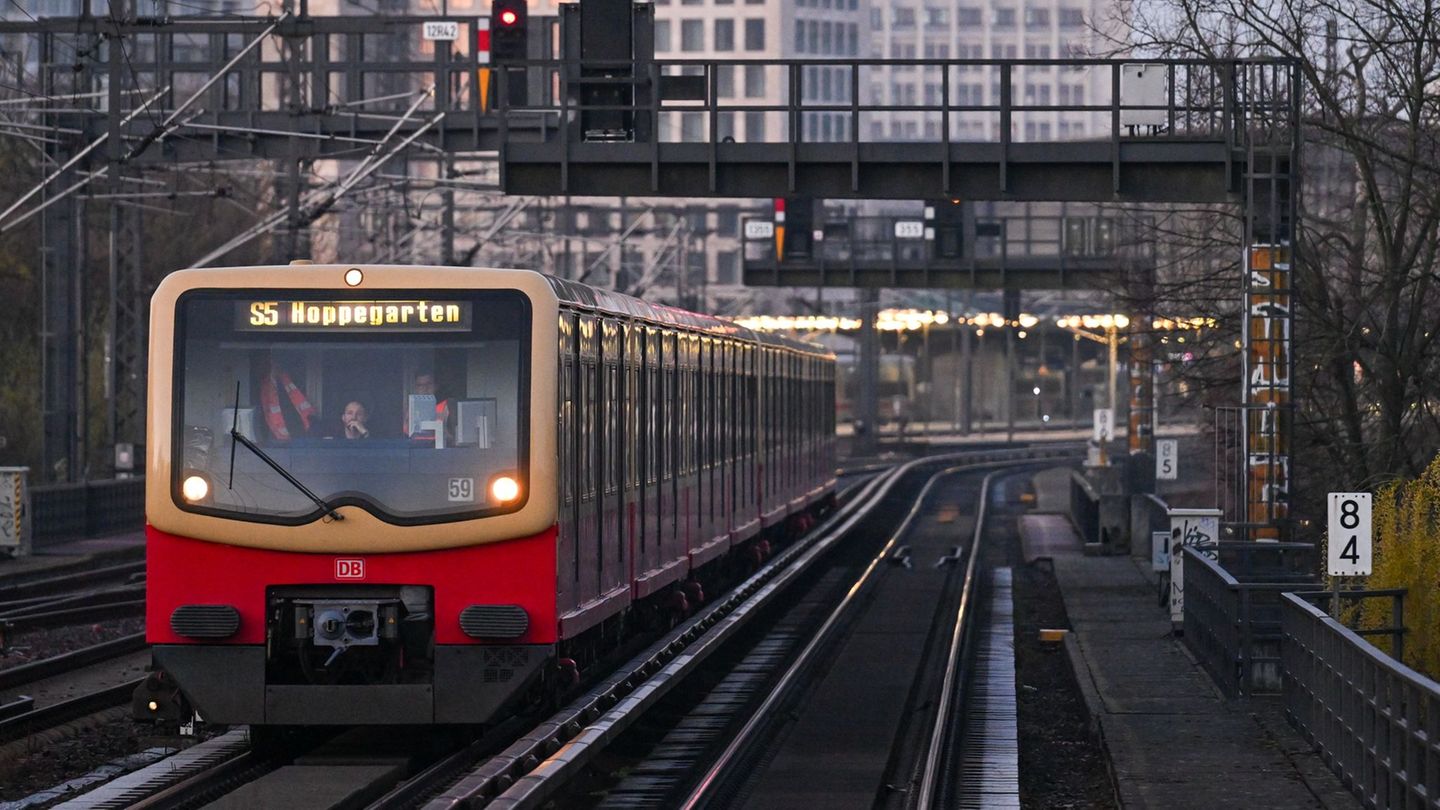 Mehrere Männer einer zwölfköpfigen Gruppe sollen einen Mann in einer S-Bahn niedergeschlagen haben. (Archivbild) Foto: Soeren St