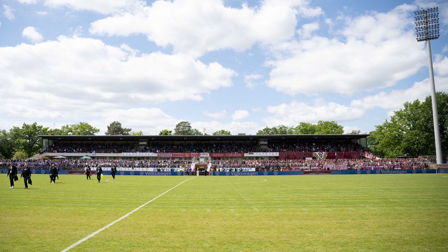 Der Rasen des Mommsenstadions ist von Pilzen befallen. (Archivbild) Foto: Matthias Koch/dpa