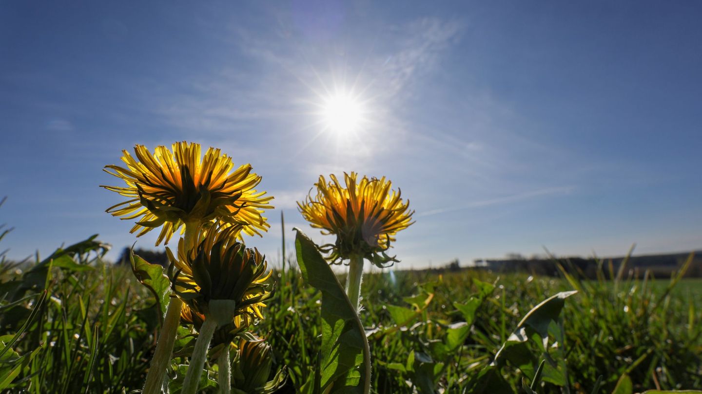 Gutes Wetter für die Osterferien. (Archivbild) Foto: Thomas Warnack/dpa