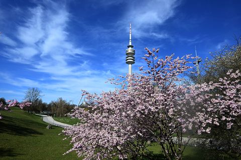 Am Mittwoch bleibt es sonnig. (Archivbild) Foto: Felix Hörhager/dpa