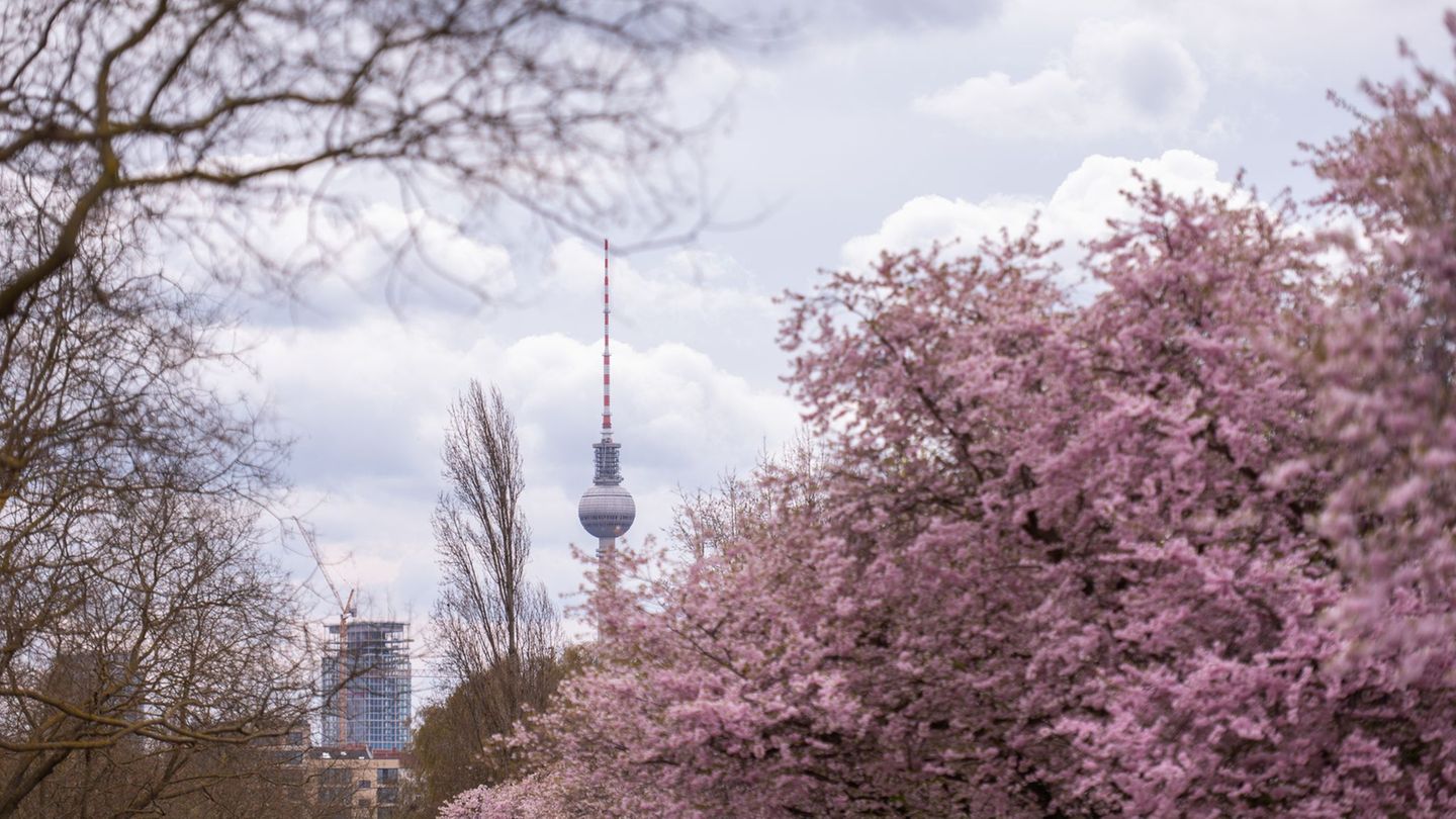 Das Wetter bleibt wechselhaft. (Archivbild) Foto: Christophe Gateau/dpa