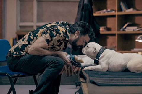 Kaum eine Serie treibt das Prinzip des Antihelden so weit wie "The Boys". Foto: Darren Goldstein/Prime Video/dpa