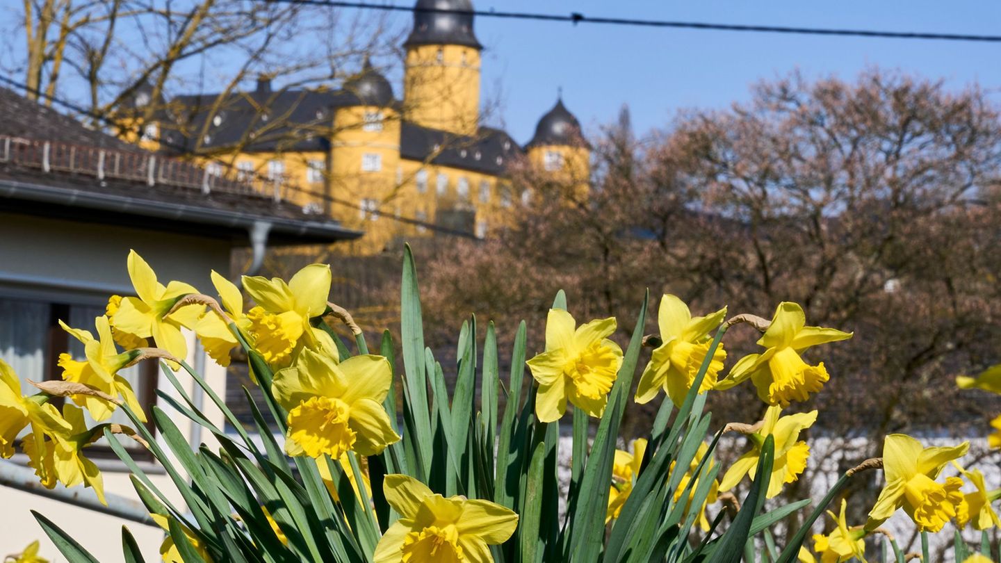 Wetter: Nach milden Tagen wird es am Freitag kühler