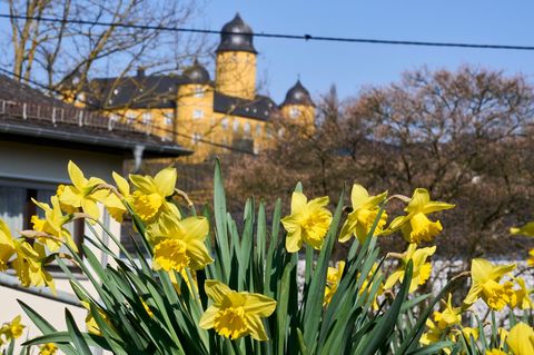 Überwiegend sonnige Tage stehen den Menschen in Rheinland-Pfalz und dem Saarland bevor. (Symbolbild) Foto: Sascha Ditscher/dpa