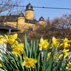 Überwiegend sonnige Tage stehen den Menschen in Rheinland-Pfalz und dem Saarland bevor. (Symbolbild) Foto: Sascha Ditscher/dpa