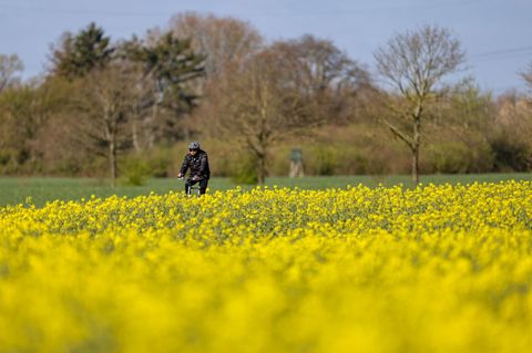 Überwiegend bleibt das Wetter auch in den kommenden Tagen freundlich. (Symbolbild) Foto: Christoph Reichwein/dpa