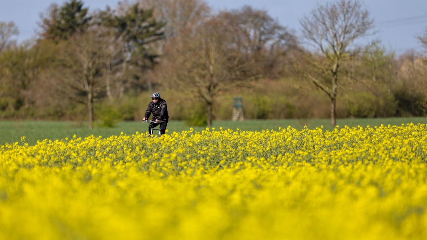 Überwiegend bleibt das Wetter auch in den kommenden Tagen freundlich. (Symbolbild) Foto: Christoph Reichwein/dpa