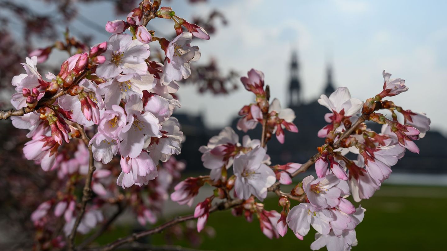 Sonnenschein dominiert die nächsten zwei Tage. (Archivbild) Foto: Robert Michael/dpa