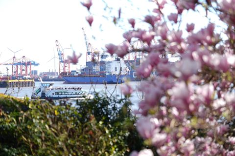 In Hamburg und Schleswig-Holstein können die Menschen weiter das Frühlingswetter genießen. Foto: Marcus Brandt/dpa