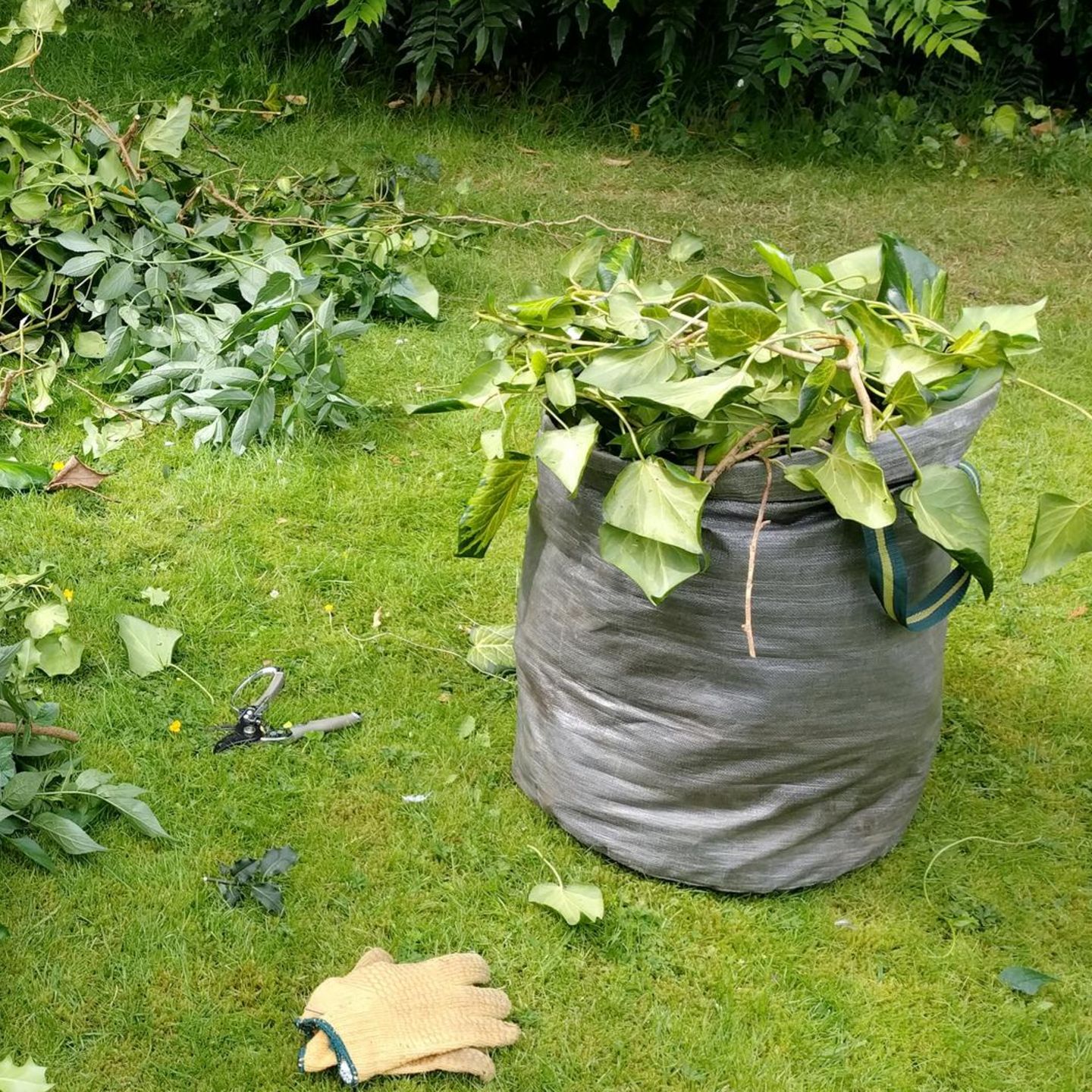 Gartenabfallsack im Deal-Check: 3er-Set jetzt 41 Prozent günstiger