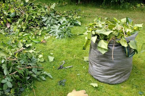 Deal News: Ein befüllter Gartenabfallsack steht auf dem Rasen