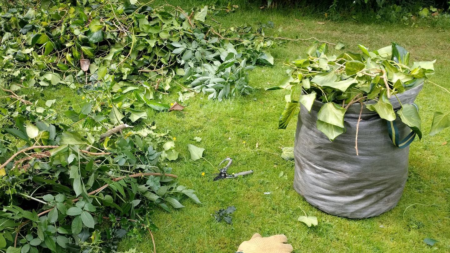 Deal News: Ein befüllter Gartenabfallsack steht auf dem Rasen