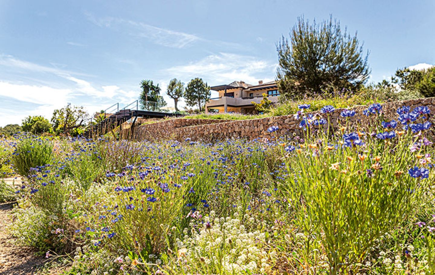 Ausnahmsweise hier dabei: Rund um diese Finca in Südspanien entstand ein naturnaher Garten, der mit dem Himmel um die Wette bläut. Errichtet hat ihn der niederländische Gartenarchitekt und ökologische Vordenker Nico Wissing. 