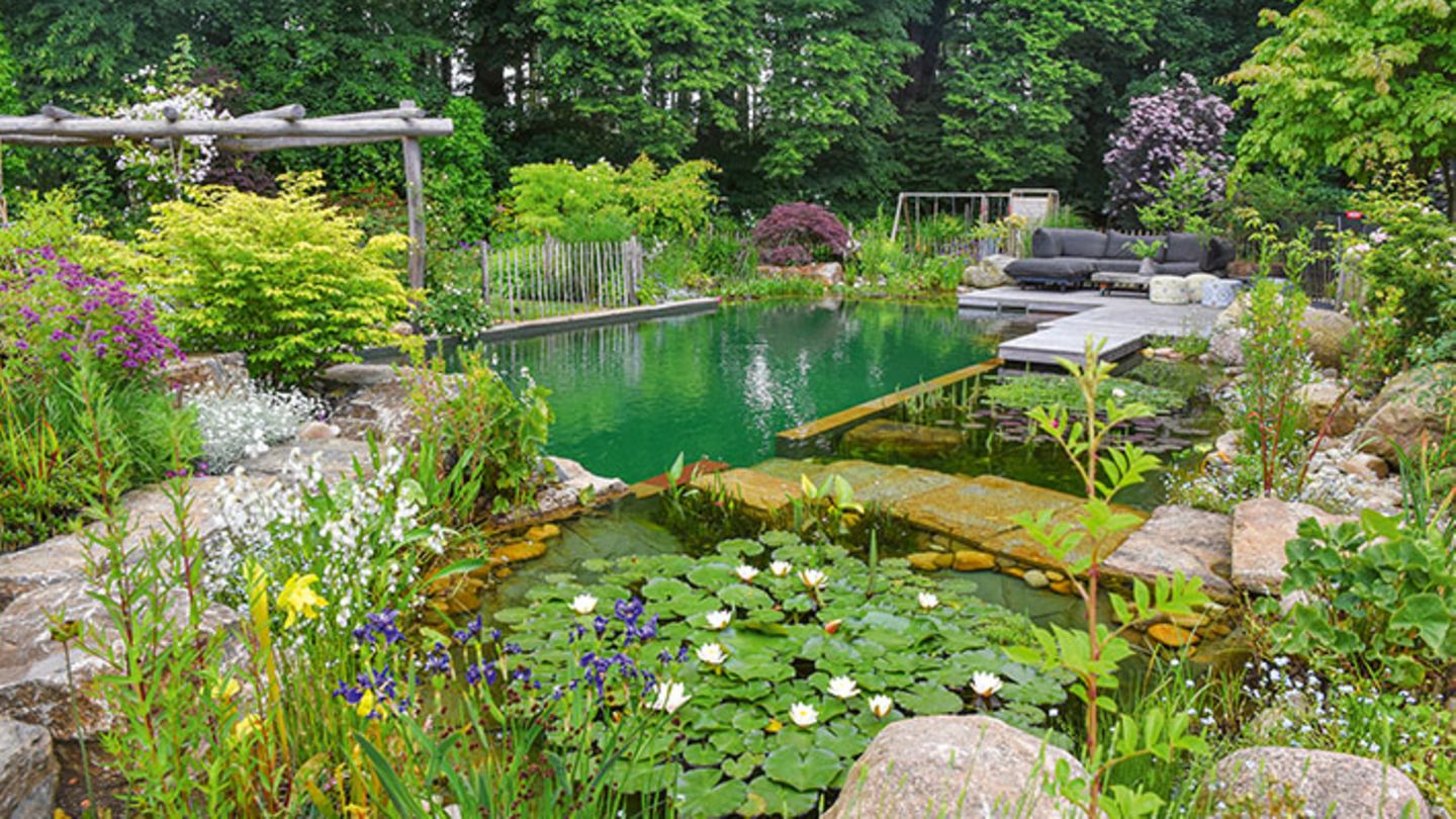 Eingebettet in bunte Blumen gibt es hier gleich drei Beckenzonen: für Schwimmer, Nichtschwimmer und Getier.