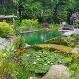 Eingebettet in bunte Blumen gibt es hier gleich drei Beckenzonen: für Schwimmer, Nichtschwimmer und Getier.