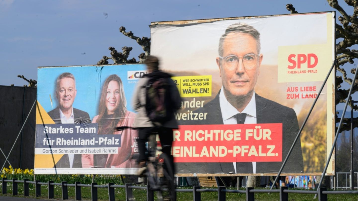 Wahlplakate mit Schnieder und Schweitzer