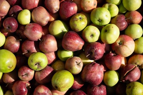 Die Messe BioOst in Leipzig rückt an diesem Wochenende ökologisch produzierte Lebensmittel in den Fokus (Archivbild). Foto: Seba